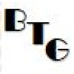 Bolnick Tax Group LLC Logo
