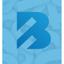 Brigade Logo