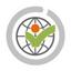 Virtual Finance Logo