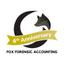 Fox Forensic Accounting, LLC Logo