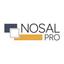 Nosal Professional Group PC Logo