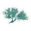 Sage Forensic Accounting, Inc. Logo