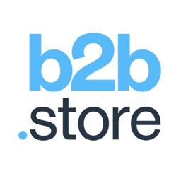 b2b.store Logo
