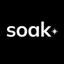 Soak Digital Logo