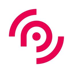 Pace IT Systems Ltd Logo