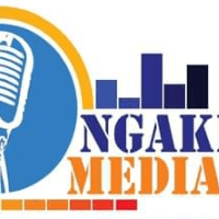 Ngake Media Logo