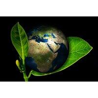 GreenConcern Logo