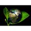 GreenConcern Logo