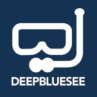 DeepBlueSee Logo