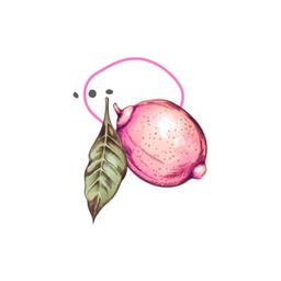 Limuni Logo
