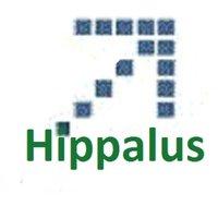 Hippalus Technologies Logo