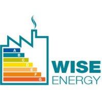 Wise Energy Logo