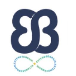 ExtendedBrain.ai Logo