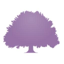 Paradigm Mortgage Services Logo