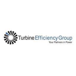Turbine Efficiency Group Logo