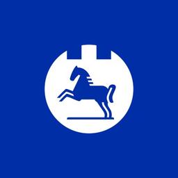 Niklas Ludewig - Versicherungsagentur Logo