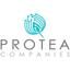 Protea Companies Logo