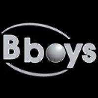 Bearingboys Ltd Logo