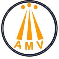 AMV Global Group Logo