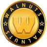 Walnuts.tech Logo