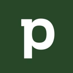 Payset Logo