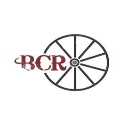 Benefit Captive Re Logo