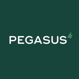 PEGASUS FINANCE COMPANY LIMITED Logo
