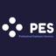 Professional Employer Services Logo