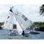 SPRING FLING REGATTA FOR THE INTERNATIONAL CRUISE INDUSTRY Logo