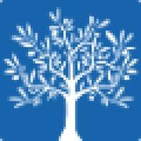 BLV Insurance Services Logo