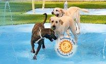 Lauderdale Pet Lodge Logo