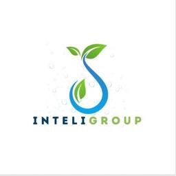 Inteli Group Logo