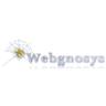 WEBGNOSYS Logo