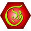 AVG graphics Logo