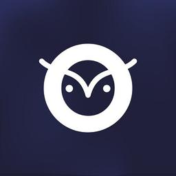 Wise Owl Accounting Services Logo