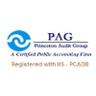Princeton Audit Group - PAG Logo