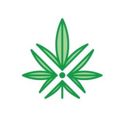 Bluntly Design Co. Logo