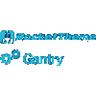 Perfection Detection Security Logo