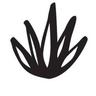 Rufina Maguey Silvestre Logo