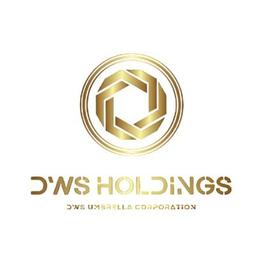 DWS Holdings Inc Logo