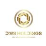 DWS Holdings Inc Logo