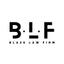 Blaze Law Firm LLC Logo