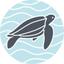 The Leatherback Trust Logo