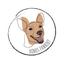 Bonus Pawrent Logo