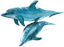 Gulf Animal Hospital Logo