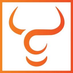 Toro Neurovascular Logo
