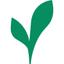 Vibrato Medical, Inc. Logo