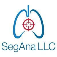SegAna, Inc Logo