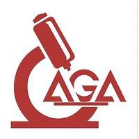 AGA - American Gem Analysis Lab Logo