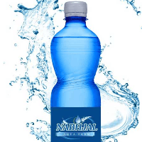 Nabhjal Industries Logo